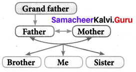 Samacheer Kalvi 7th English Solutions Term 1 Supplementary Chapter 1 On Monday Morning img 3