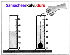 Samacheer Kalvi 7th Science Solutions Term 1 Chapter 1 Measurement image - 18