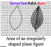 Samacheer Kalvi 7th Science Solutions Term 1 Chapter 1 Measurement image - 3