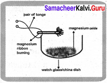 Samacheer Kalvi 7th Science Solutions Term 2 Chapter 3 Changes Around Us image -7