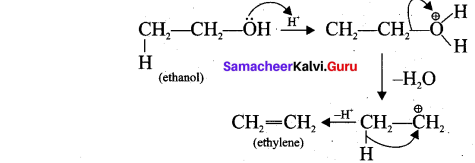 Tamil Nadu 11th Chemistry Model Question Paper 1 English Medium image - 23
