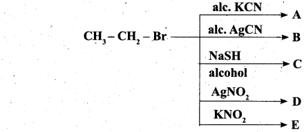 Tamil Nadu 11th Chemistry Model Question Paper 3 English Medium image - 23