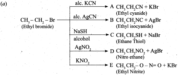 Tamil Nadu 11th Chemistry Model Question Paper 3 English Medium image - 24