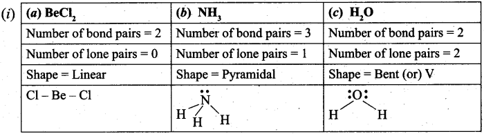 Tamil Nadu 11th Chemistry Model Question Paper 5 English Medium 15