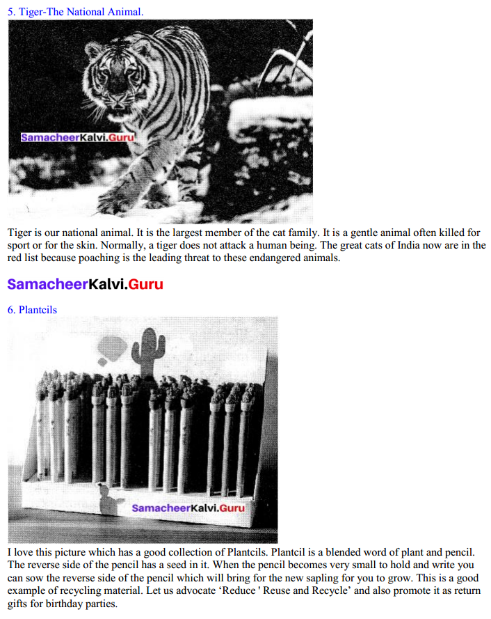 Samacheer Kalvi 10th English Picture Composition Interpretation 3